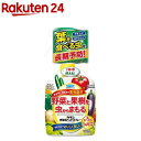 フマキラー カダン 野菜用ハンドスプレー(1000ml)