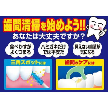 小林製薬 糸ようじ(30本入)【糸ようじ】