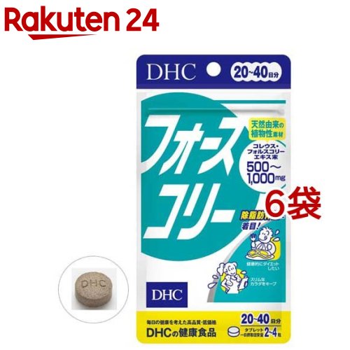 サプリメント DHC フォースコリー 20日分(80粒*6袋セット)【DHC サプリメント】