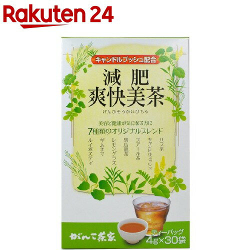 がんこ茶家 減肥爽快美茶(4g*30袋入)【がんこ茶家】