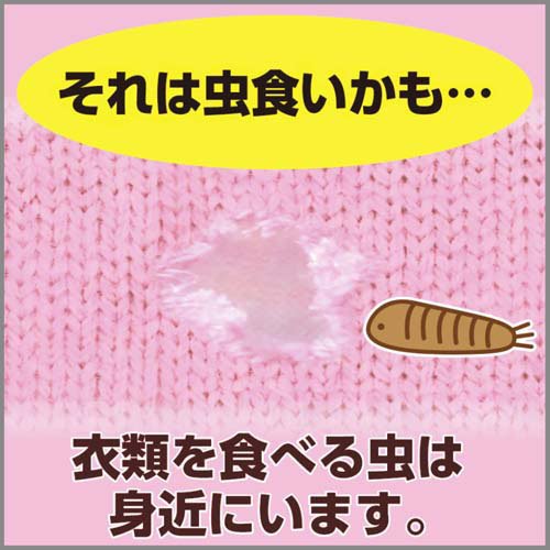 �ॷ�塼�� �����������󥯥������å����� ������ ����� ̵�᥿���� 1ǯ��ͭ��(3������3Ȣ���å�)�ڥॷ�塼����