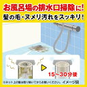 パイプユニッシュ パイプクリーナー 排水口クリーナー(800g*3本セット)【パイプユニッシュ】[排水管 詰まり 洗浄 洗剤 掃除 ぬめり取り 排水パイプ] 2