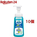 ペットキレイ 除菌できるふきとりフォーム 本体(250ml*10個セット)【ペットキレイ】