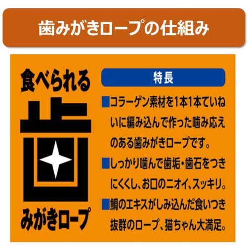 サンプル画像2