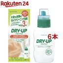 ドライアップ本体(300ml*6本セット)【サンスタードライアップ】
