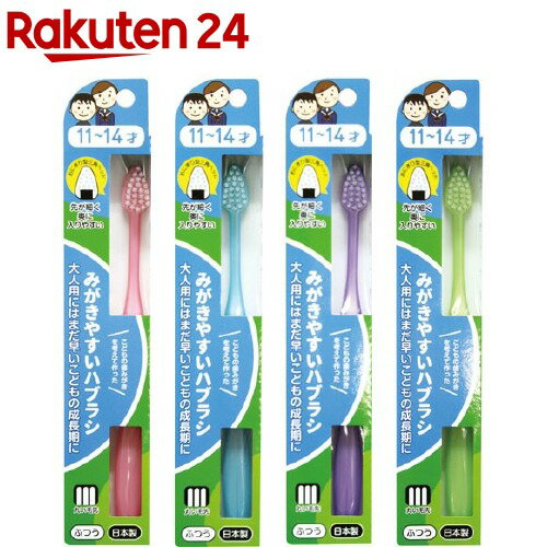 みがきやすいハブラシ 11-14才用 フラット LT-40(12本入)