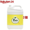 パックスナチュロン ハンドソープ 大容量(5L*2個セット)