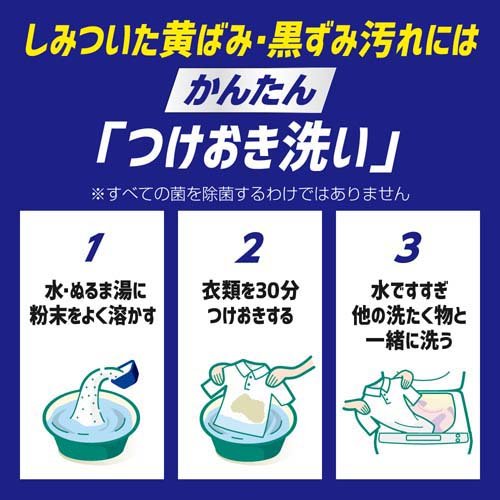 ワイドハイター 漂白剤 PRO 強力分解パウダー 詰め替え(450g*3袋セット)【ワイドハイター】[漂白剤 除菌 消臭 つめかえ 詰替 粉末 まとめ買い]