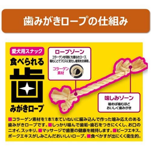 サンプル画像2