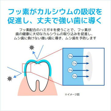 Doクリア 薬用こどもハミガキ グレープ味(70g*3本セット)【Doクリア】