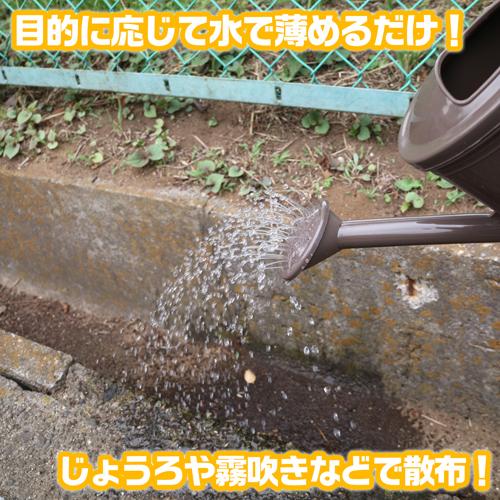 【第2類医薬品】バルサン うじ殺し乳剤(500ml*3本セット)【バルサン】