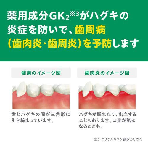 ガム(G・U・M) デンタルペースト(155g*3本セット)【ガム(G・U・M)】[歯磨き粉 虫歯...