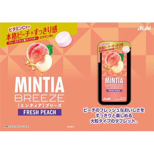 �ߥ�ƥ����֥꡼�� �ե�å���ԡ���(30γ��*4�ĥ��å�)��MINTIA(�ߥ�ƥ���)��