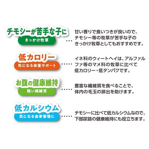 �Хˡ����졼�ɥ������ȥإ�(500g��3���å�)�ڥߥ˥ޥ���ɡ�