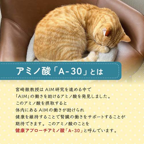 AIM30 室内成猫用 健康な尿路・毛玉ケア フィッシュ(1.2kg*4袋セット)【AIM30(エーアイエムサーティ)】