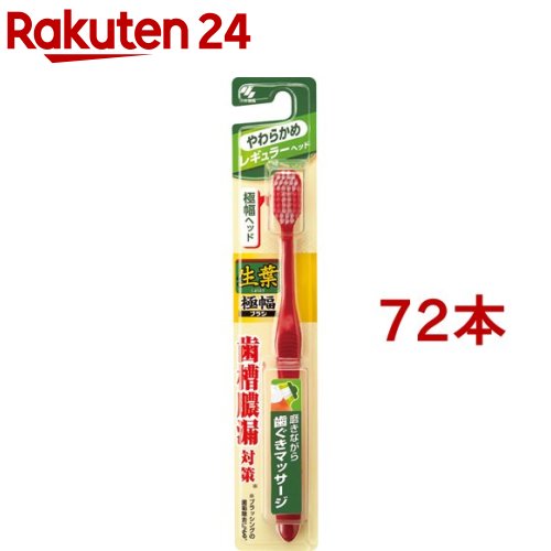 ���� �����֥饷 �쥮��顼 ���餫��(72�ܥ��å�)�����ա�