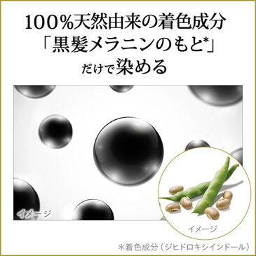 リライズ 白髪用髪色サーバー リ・ブラック まとまり仕上げ(155g)【k5q】【d2rec】【リライズ】【送料無料】