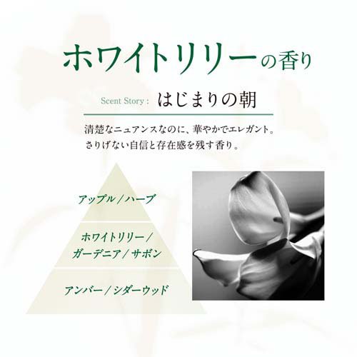 レノア リセット セラム 柔軟剤 ホワイトリリー 本体(500ml×12セット)【レノア リ...
