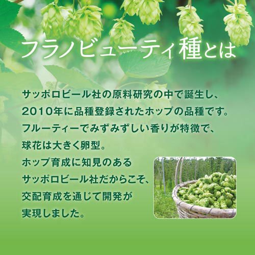 �̳�ƻ������ۥå� ú����(24������2���å�(1��500ml))