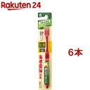 生葉 極幅ブラシ レギュラー やわらかめ(6本セット)【生葉】(4)