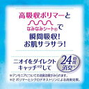 チャームナップ 吸水さらフィ 多くても安心用 羽なし 100cc 29cm(20枚入)【チャームナップ】 3