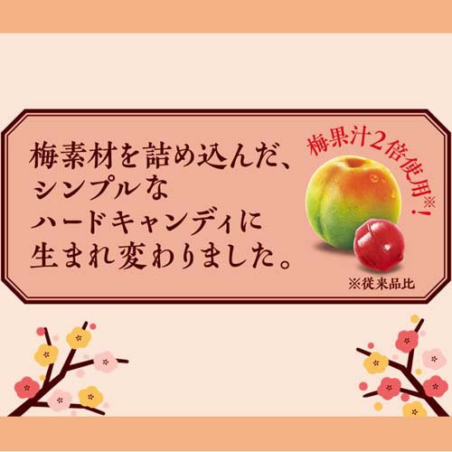 小梅 袋(60g×24セット)