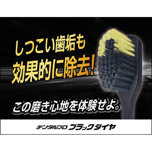 デンタルプロ ブラックダイヤ レギュラー かため(1本入*3コセット)【デンタルプロ】