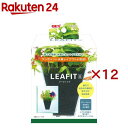 リーフィット S(12セット)