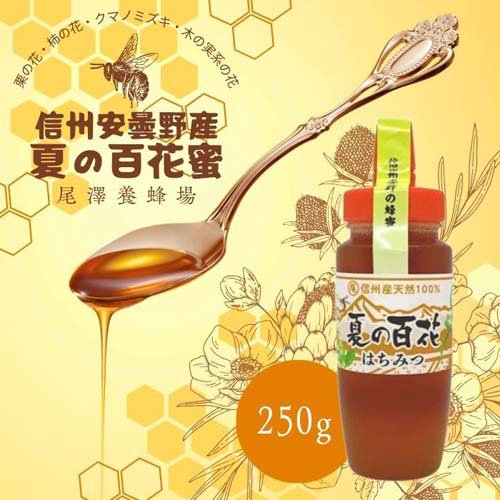尾澤さんのはちみつ 夏の百花(250g×2セット) rakuten24-11394980 楽天24 サンプル画像2