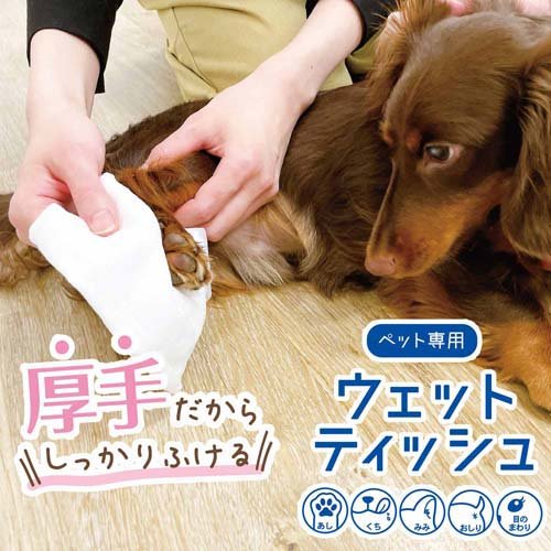 ペット専用ウェットティッシュ 保湿成分プラス(60枚入*3個パック*8袋セット)