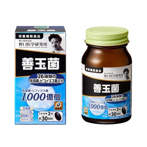 野口医学研究所 善玉菌 サプリ(60粒入×2セット)