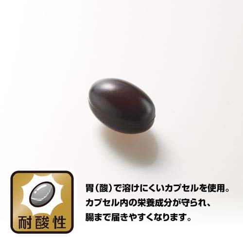 野口医学研究所 善玉菌 サプリ(60粒入×2セット)