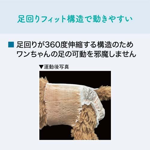 【まとめ買い】エリエール ペット キミおもい アクティブウェア パンツタイプ S以下フリーサイズ(30枚入*4袋セット)【キミおもい】[犬 犬用 ペット おむつ] rakuten24-11223120 楽天24 サンプル画像3