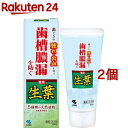 薬用歯みがき 生葉(100g 2コセット)【生葉】 歯槽膿漏を防ぐ 和漢ハーブの香味 薬用ハミガキ