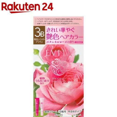 エビータ トリートメントヘアカラー3B 明るいライトブラウン(医薬部外品)(45g+45g)【kane07】【ka9o】【EVITA(エビータ)】