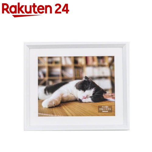 ̿ ϻȽ F-SW-119-W(1)