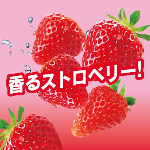 キシリトールガム ストロベリー(14粒入×16セット) — vista 3