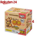 カイロ 貼る レギュラー 低温 使い捨て ほんわか低温カイロ(30枚入×4セット)【アイリスオーヤマ】