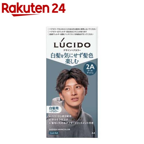 LUCIDO(ルシード) デザインヘアカラー クールアッシュ 白髪染め メンズ(1セット)【ルシード(LUCIDO)】