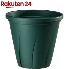 https://thumbnail.image.rakuten.co.jp/@0_mall/rakuten24/cabinet/485/4903266726485.jpg
