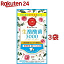 ミナミヘルシーフーズ 生酪酸菌3000(60カプセル*3袋セット)【ミナミヘルシーフーズ】