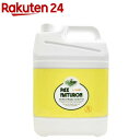 パックスナチュロン ハンドソープ 大容量(5L)【パックスナチュロン(PAX NATURON)】 手荒れ予防 料理 石けん 敏感肌 泡 子ども