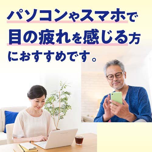 ブルーベリーEX 約30日分 ピント調節機能対策に(60粒×3袋セット)【小林製薬の栄養補助食品】 2