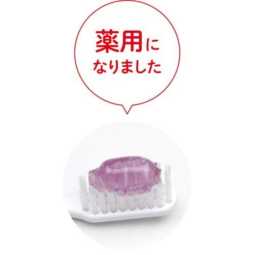 L8020乳酸菌薬用ハミガキジェルぶどう(50g×6セット)