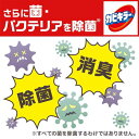 カビキラー カビ取り剤 本体(400g*6本セット)【カビキラー】[カビ除去スプレー お風呂 浴槽 掃除 洗剤 まとめ買い] 3