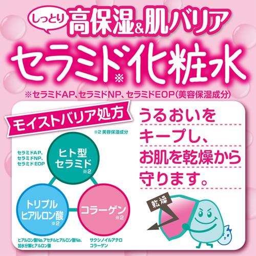 ������� �����󥳥�ǥ�����ʡ� ���ݼ�(500ml*3�ܥ��å�)�ڥ������(CEZANNE)��[�ץ��ץ� ����ߥɲ��ѿ� ������ ����ߥ� ���ѿ�]