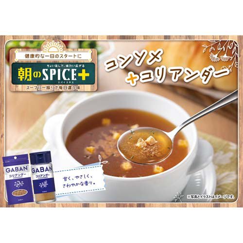 GABAN コリアンダー(8g×10セット)【ギャバン(GABAN)】
