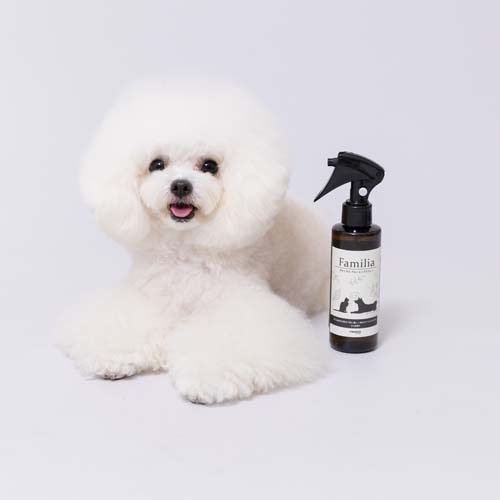 �ե��ߥꥢ �ܥ��˥��륹�ץ졼(150ml��8���å�)