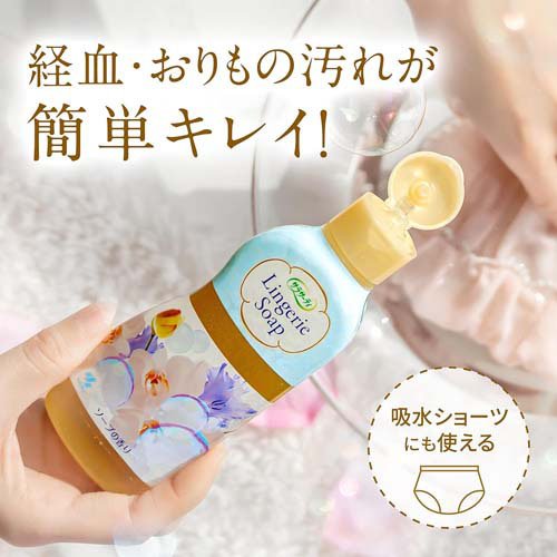 小林製薬 サラサーティ ランジェリー用洗剤(120ml*48個セット)【サラサーティ】