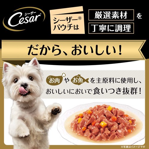 サンプル画像2